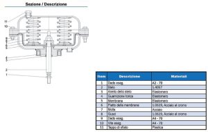 PHÖNIX – sezione e descrizione