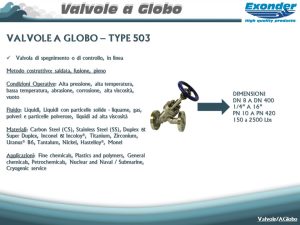 globo_503