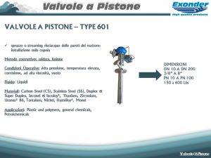pistone_601