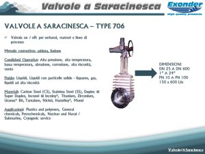 saracinesca_706